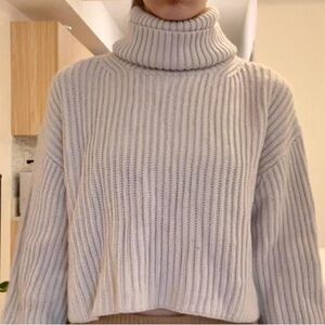 Aritzia Turtleneck Sweater